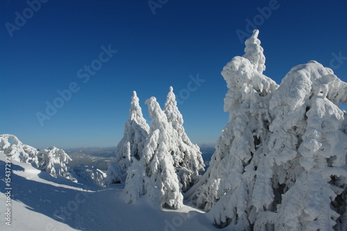 Wallpaper Mural Winterlandschaft Torontodigital.ca