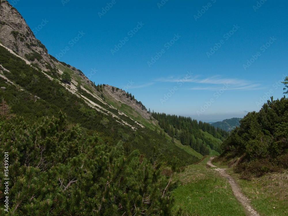 Fototapeta premium Pfad am Berg