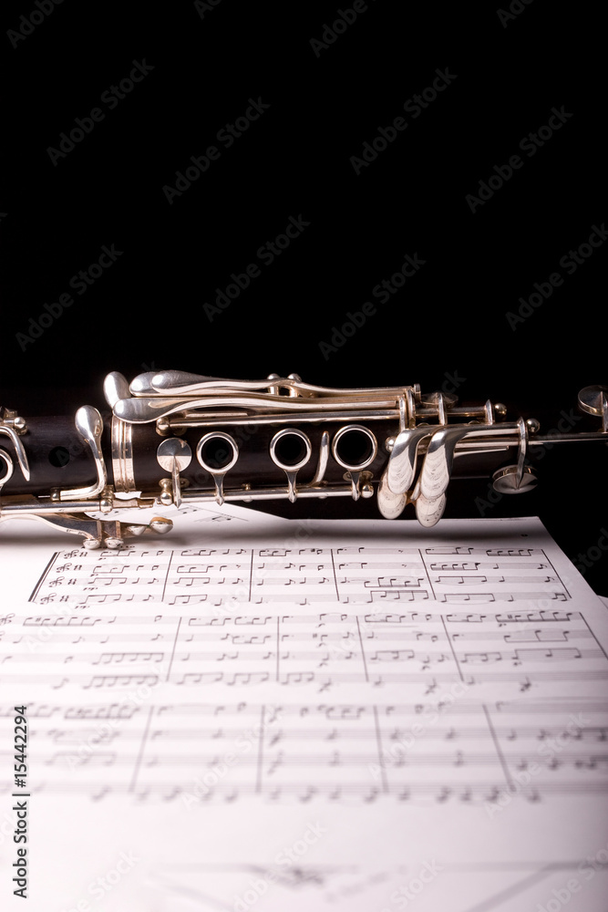 Obraz premium clarinet