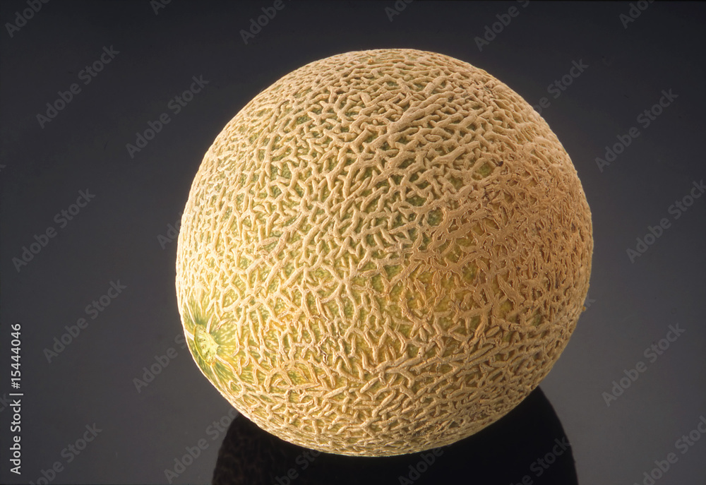 melone melone