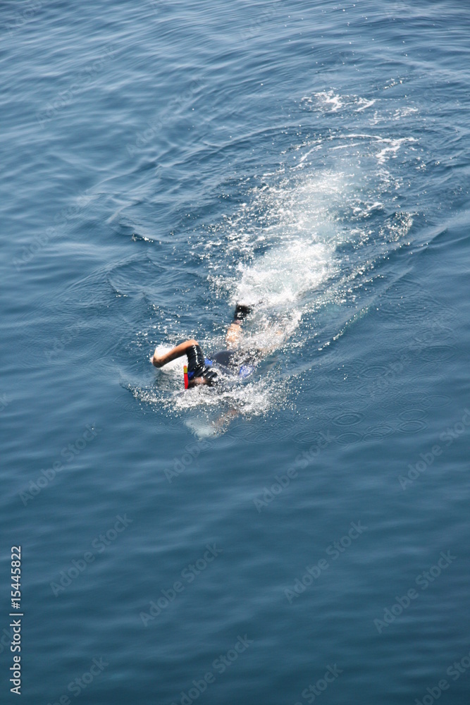 Obraz premium apnea