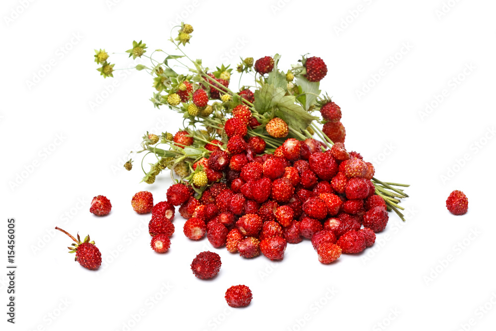 ripe strawberries on white background ripe strawberries on white background