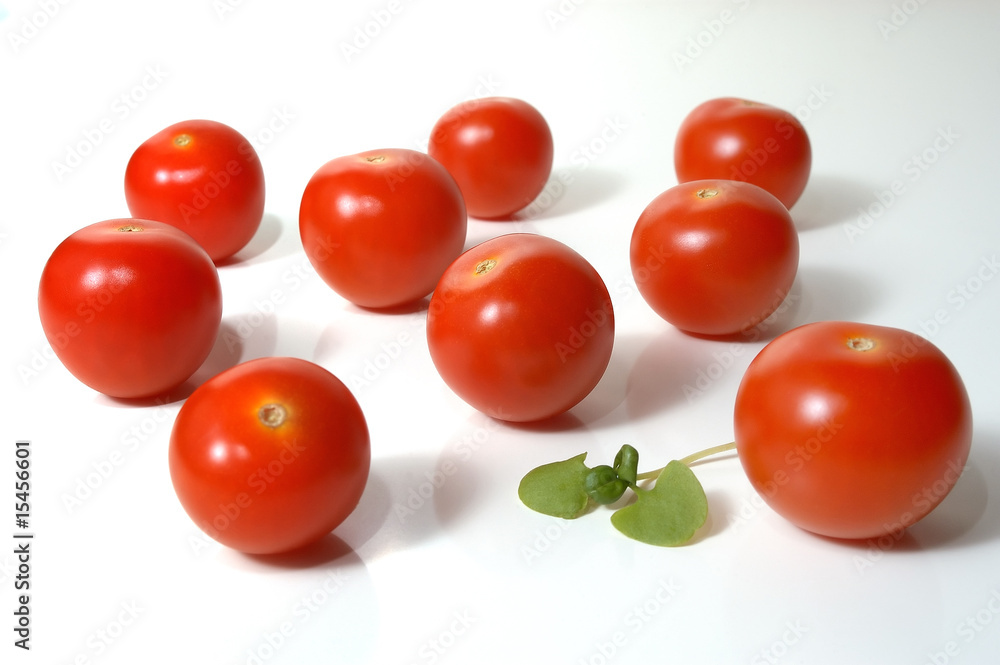 Tomaten 02 Tomaten 02