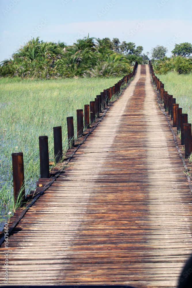 Fototapeta premium Bridge in the delta