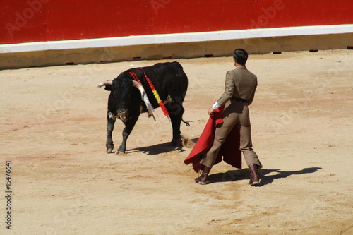 Novillada y espectaculo taurino en San Fermín, Pamplona.