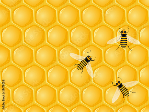 honeycomb and bees