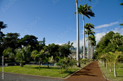 Tableau sur toile jardin tropicale