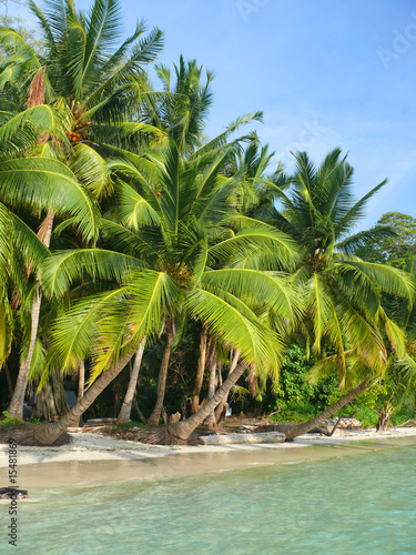 Beach no. 5  Havelock Island  Andaman Islands  India