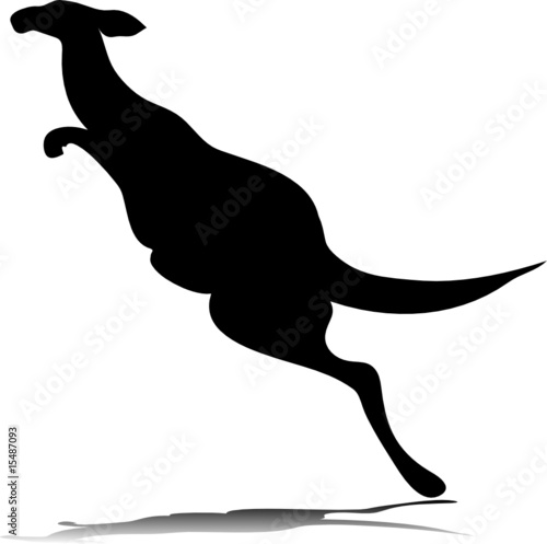 one kangaroo vector silhouettes photo