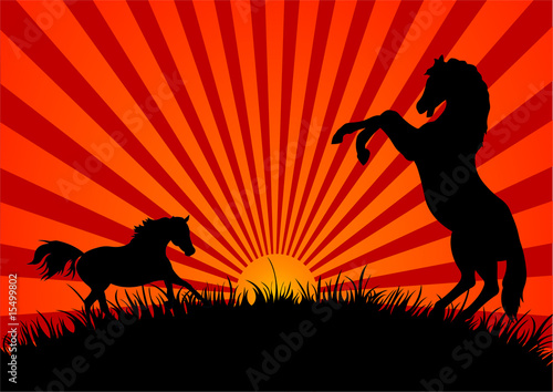 Two silhouetted  horses in a field