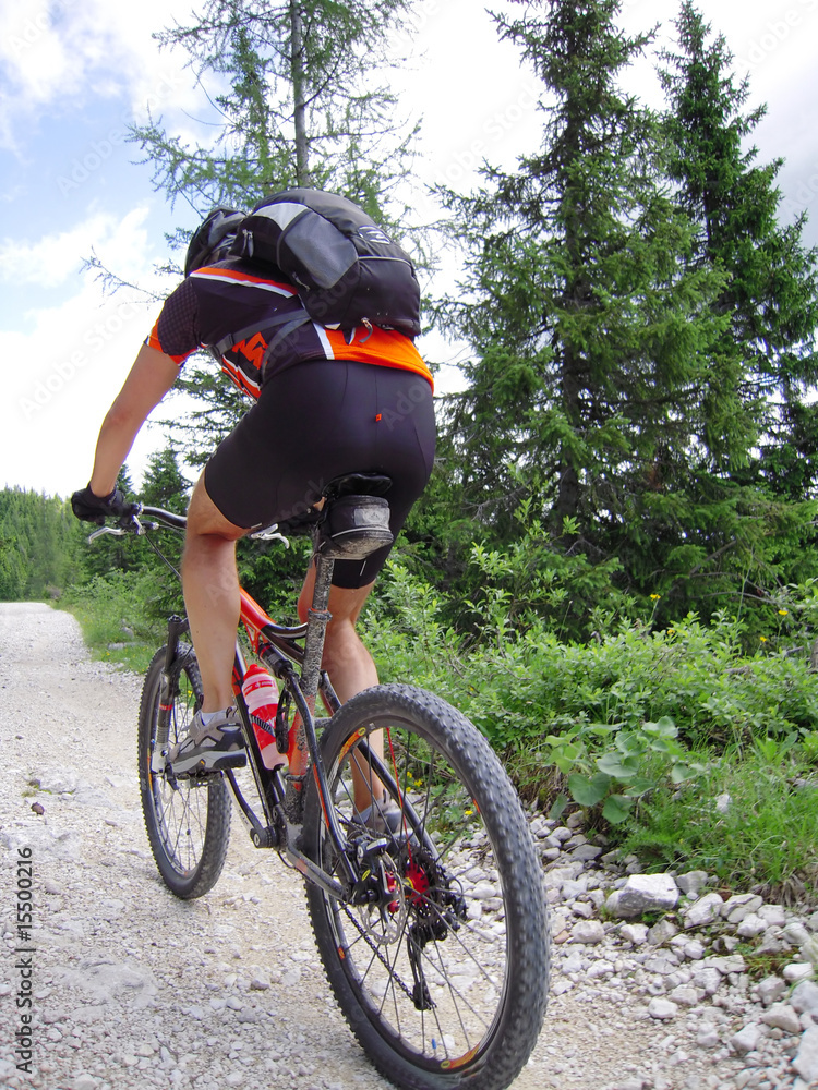 Obraz premium mountain bike