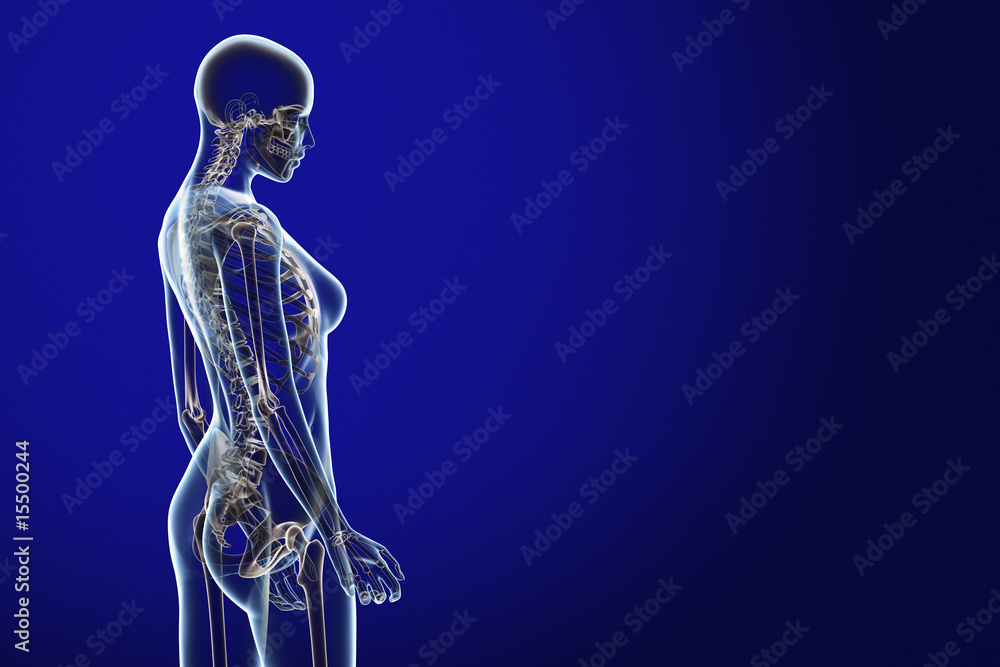 WHAT DOES ANATOMIC MEAN IN AN X RAY visual data 4