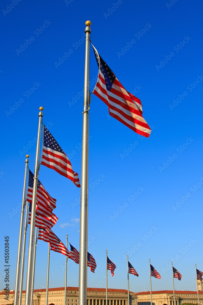 US flags near Washington Monument, Washington DC