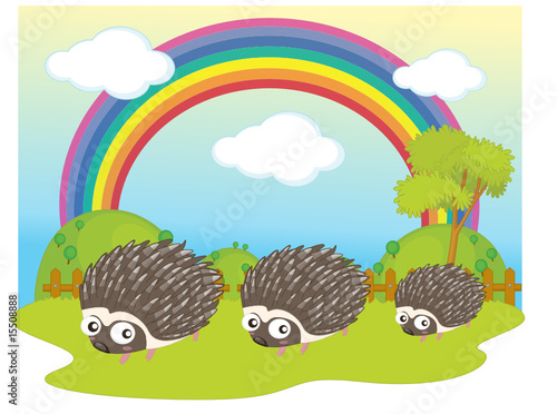 animals