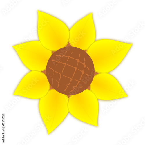 sonnenblume front I