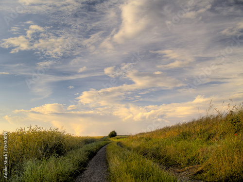 Feldweg photo