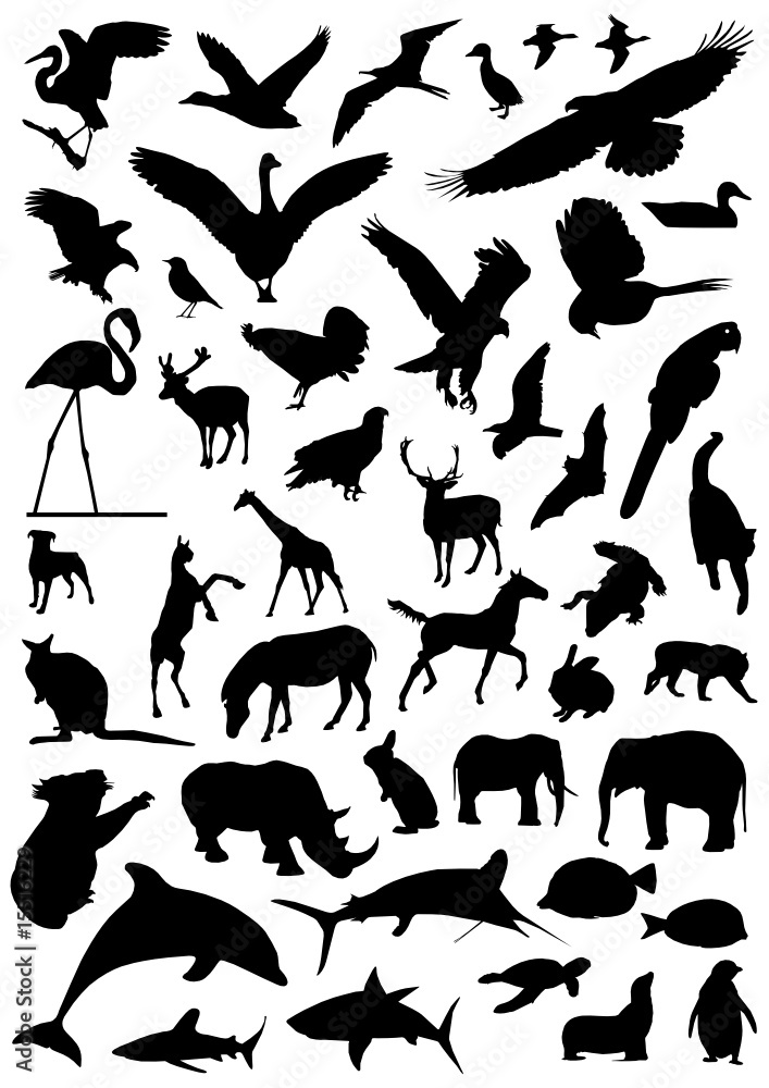 collection of animal vector 2