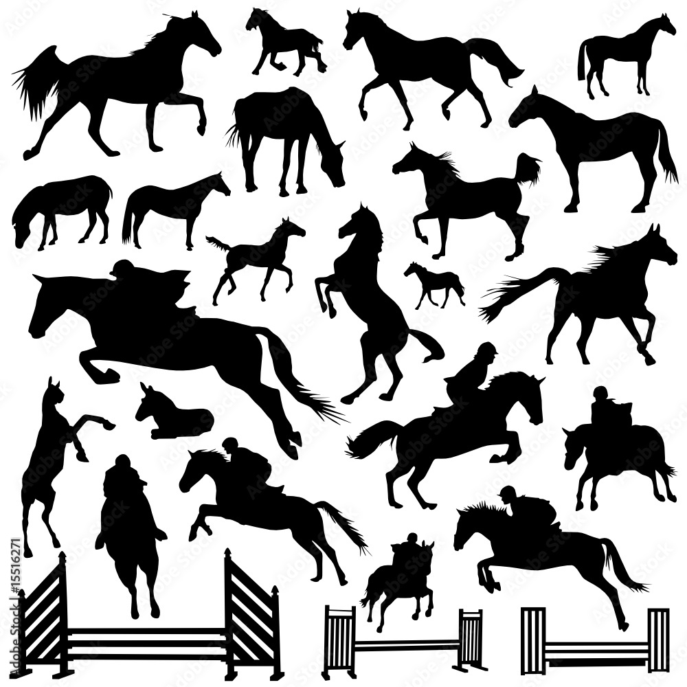 collection of horse vector