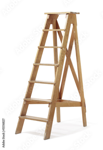 Old ladder
