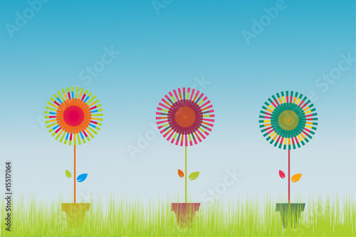 flower pots