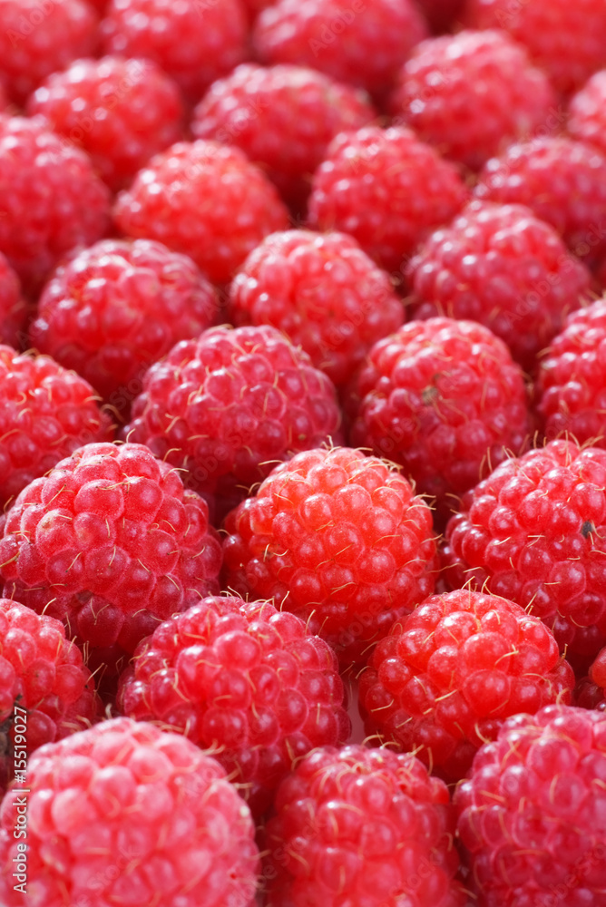 raspberries raspberries