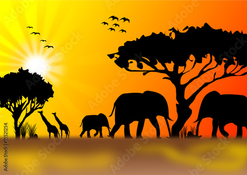 Wilde Tiere in Afrika