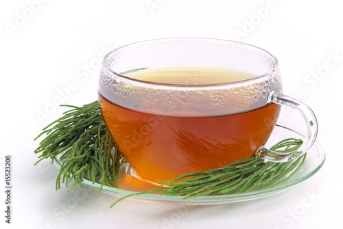 Tee Ackerschachtelhalm - tea field horsetail 04