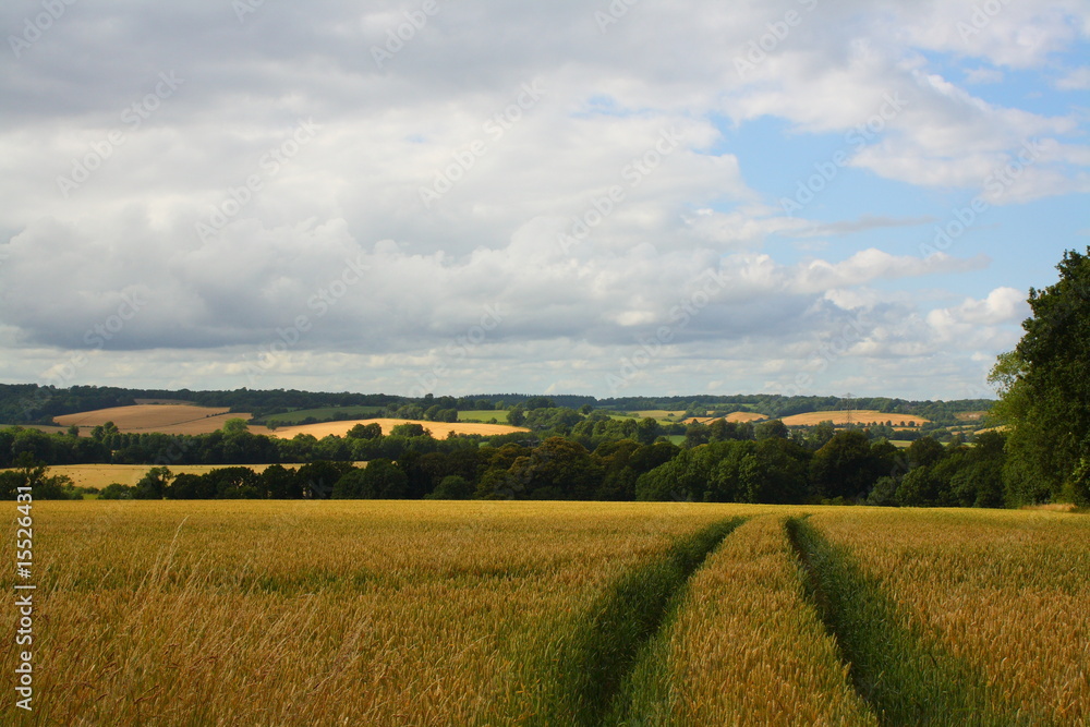 Obraz premium tracks