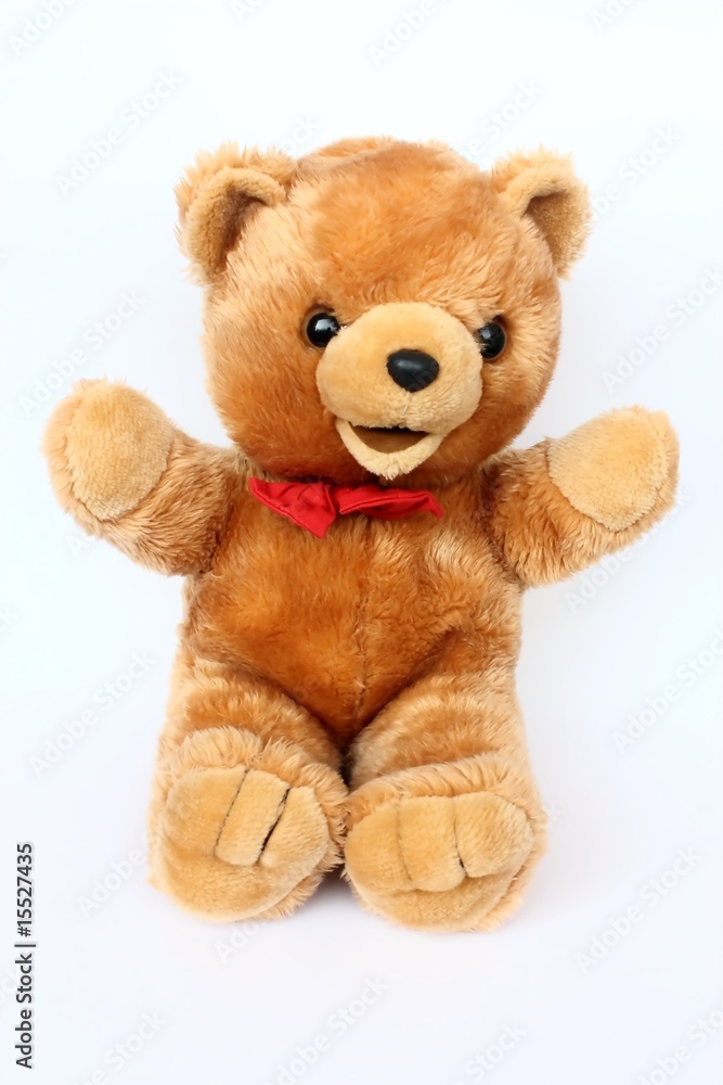 Obraz premium Beautiful teddy-bear