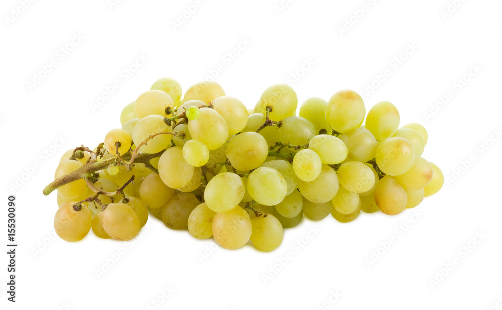 a closeup photo of ripe bunch of grapes