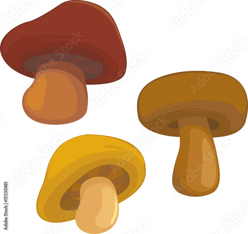 mushrooms