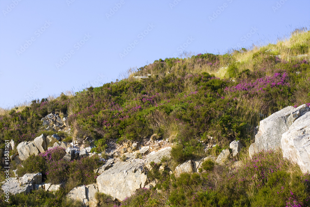 view of a landscape in brittany view of a landscape in brittany