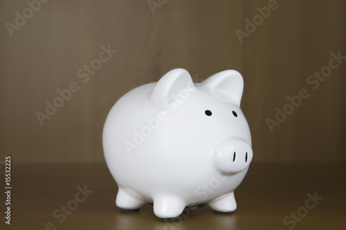 White Piggy Bank sitting on wooden shelves