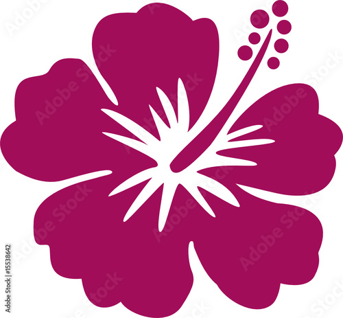 Hawaiiblume violett