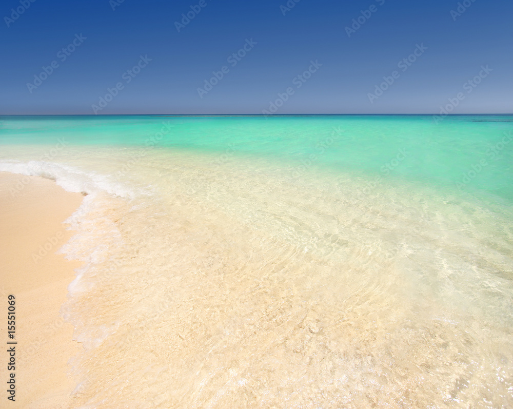 Fototapeta premium Tropical beach