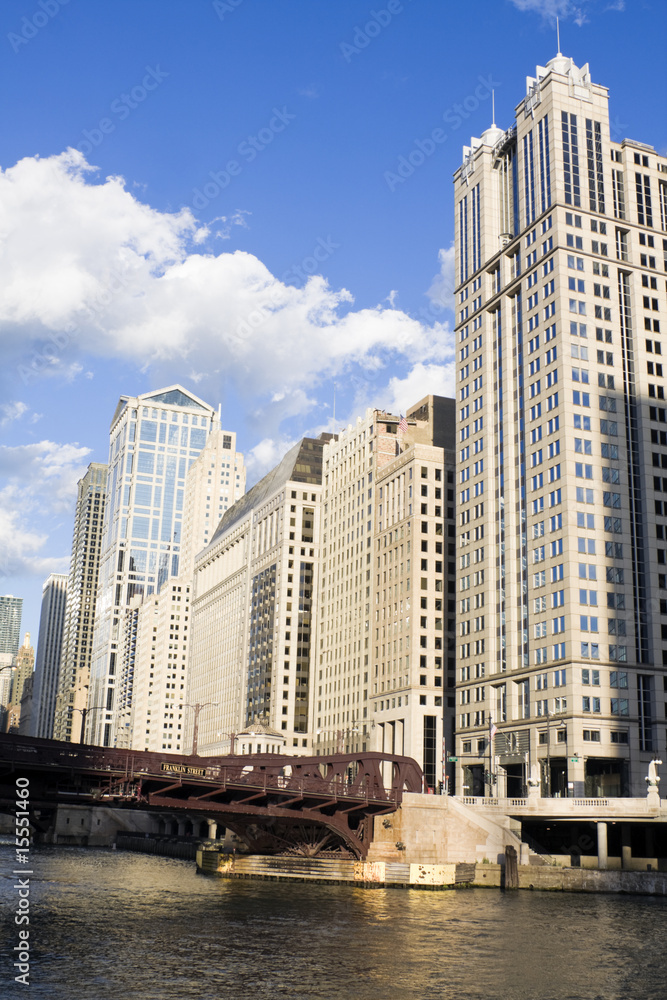 Obraz premium Budynki wzdłuż rzeki Chicago