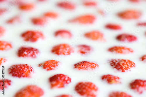 strawberry in milk, close up