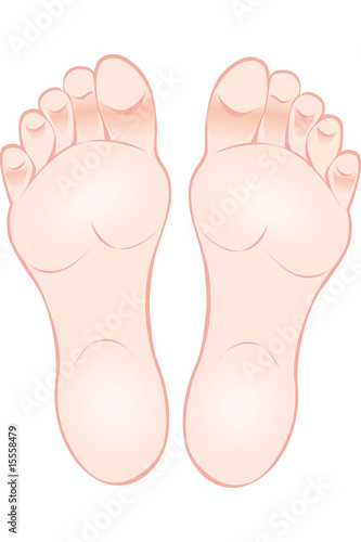 piedi