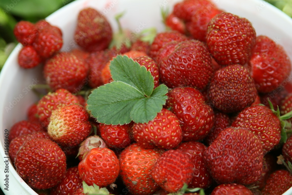 strawberry strawberry