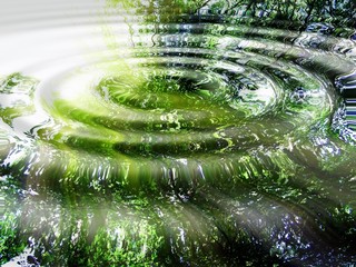 Reflection of forest and sun in water
