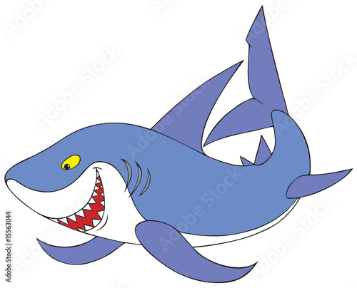 Shark