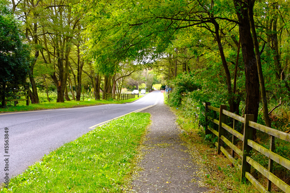 Fototapeta premium Road