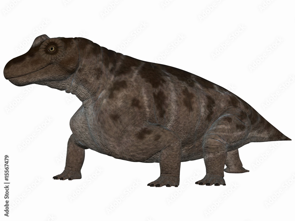 Keratocephalus - 3D Dinosaurier