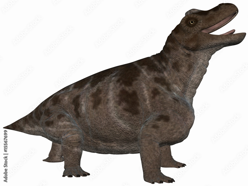 Obraz premium Keratocephalus - 3D Dinosaurier