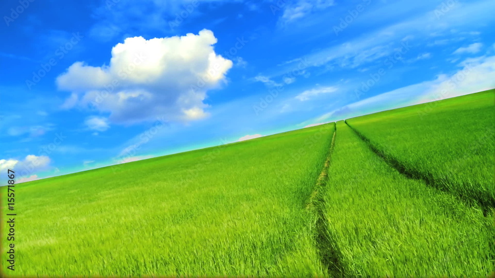 Field Of Dreams Time-lapse Field Of Dreams Time-lapse