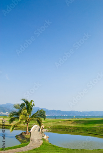 Palm tree and lake on tropical oceanfront golf course