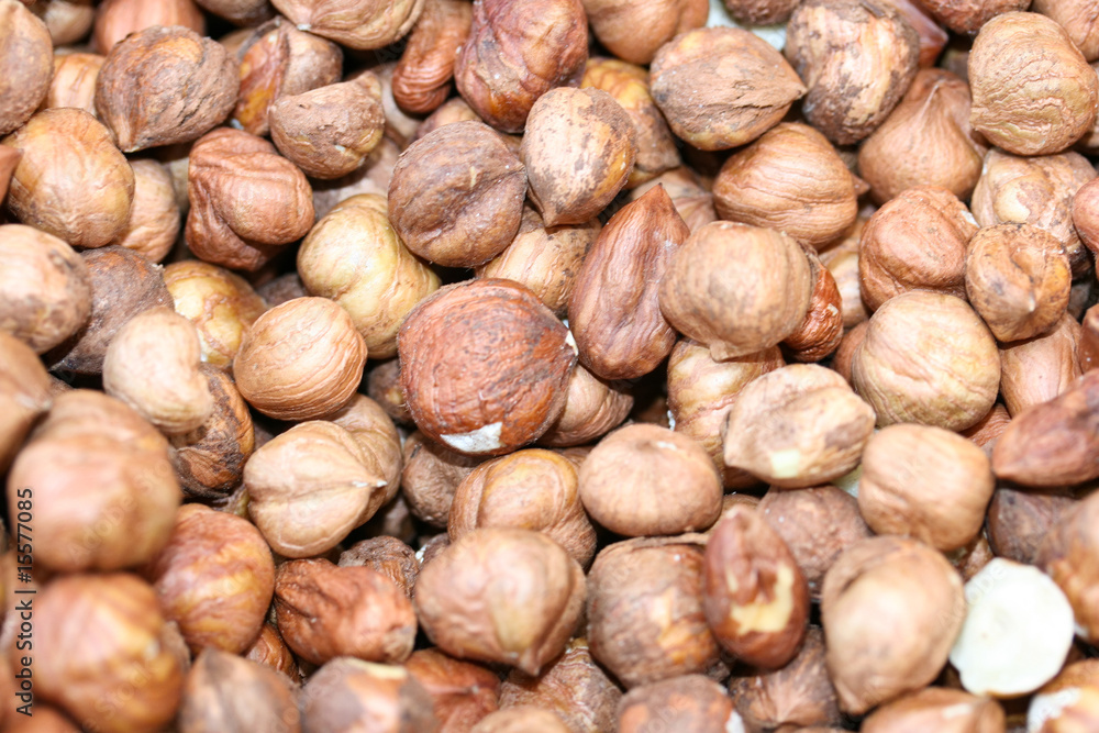 Hazelnuts Hazelnuts