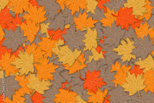 Autumn Foliage Background