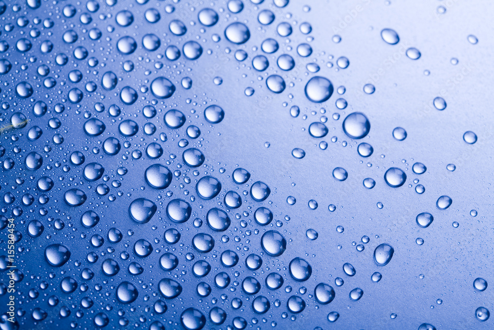 Fresh & Wet Fresh & Wet