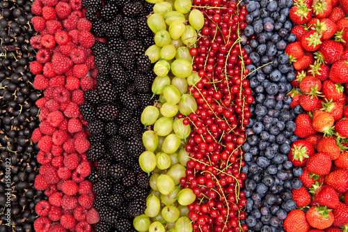 delicious fresh berries in a row